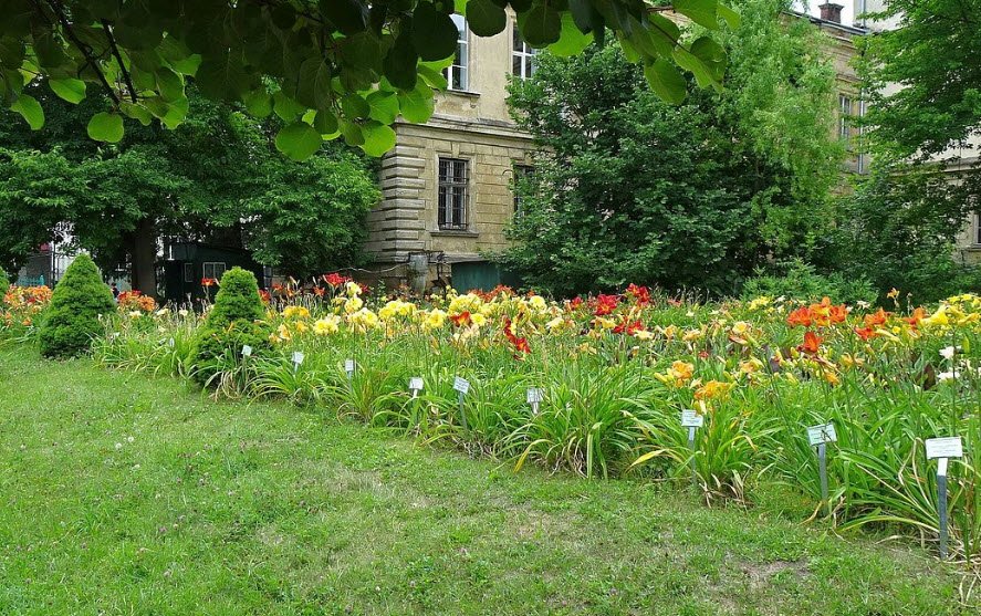Lviv Medical University Botanical Gardens, Ukraine
